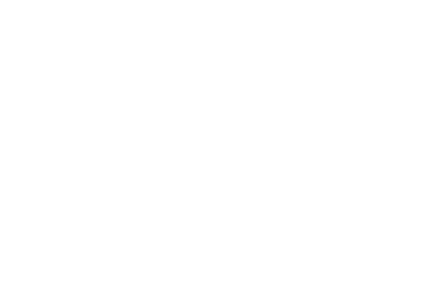 audi flash battery