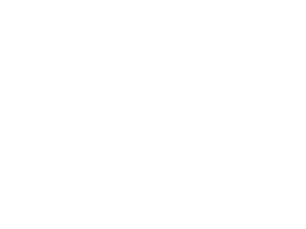 citroen flash batter