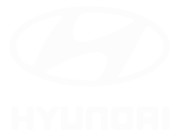 hyundai falsh battery